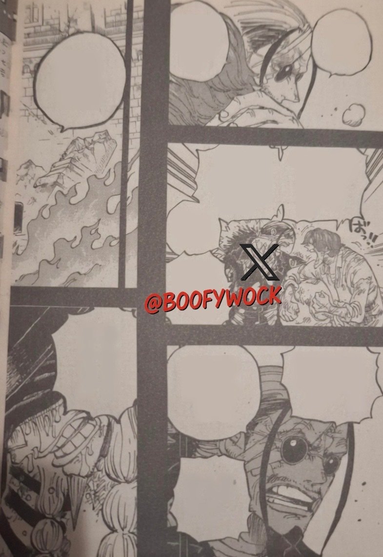       One   Piece Dragnir Page 3